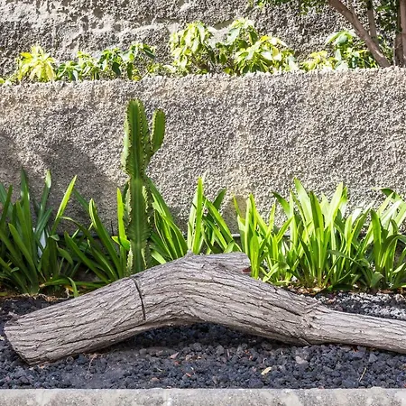 Jumilla Vista Mar 11 * Playa del Inglés